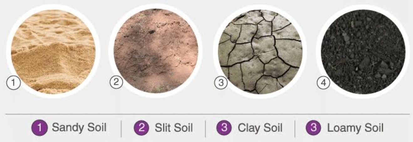 difference-between-sand-silt-and-clay-agriculture-wale