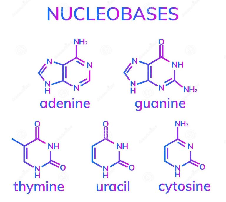 NUCLEOSIDES AND NUCLEOTIDES - Agriculture Wale