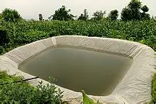 dryland farming technique