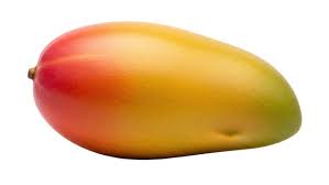 Best Mango Varieties in India