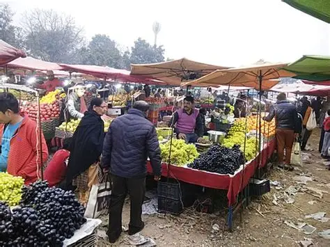 Farmer Markets: The Rise of Local Food Systems